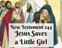 NT 244 - Jesus Saves a Little Girl